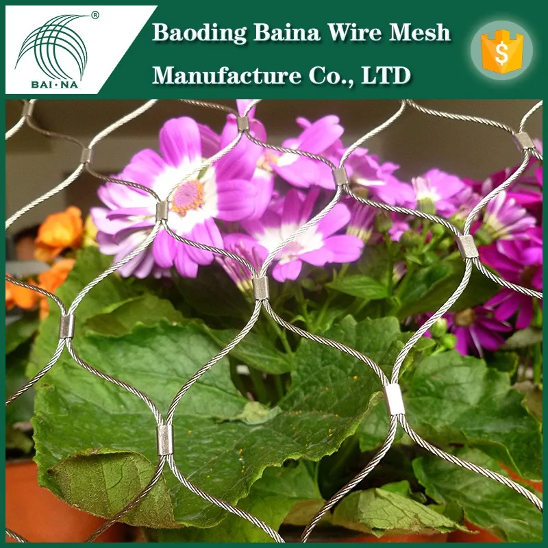 Garden Stainless Steel Fence Wire Mesh Flower With Lowest Price Buy