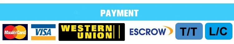 Payment new