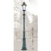 Trans Globe Classic Outdoor Lighting Lamps 3.5M Precision Cast Aluminum RHS-16517