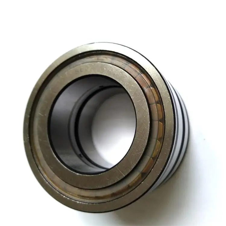 Sl045004 Nnf5004 Double Row Full Complement Cylindrical Roller Bearing