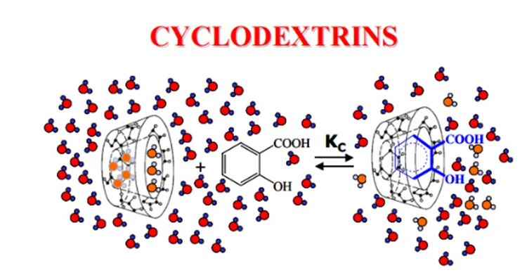cyclodextrin1.png