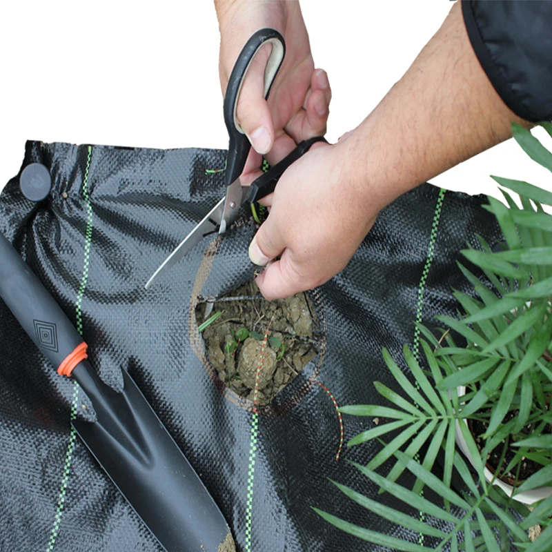 Hot Sale Weed Mat Commercial Weed Mat For Vegetable Garden Buy Weed