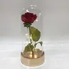 Enchanted Rose,Beauty and The Beast Red Rose Pre-Lit Silk Rose in Glass Dome (Metal Base)