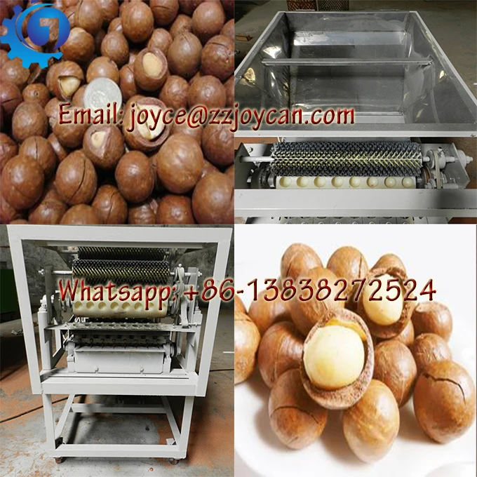Automatic Macadamia Nut Cracker Machine Macadamia Nut Shells Broken