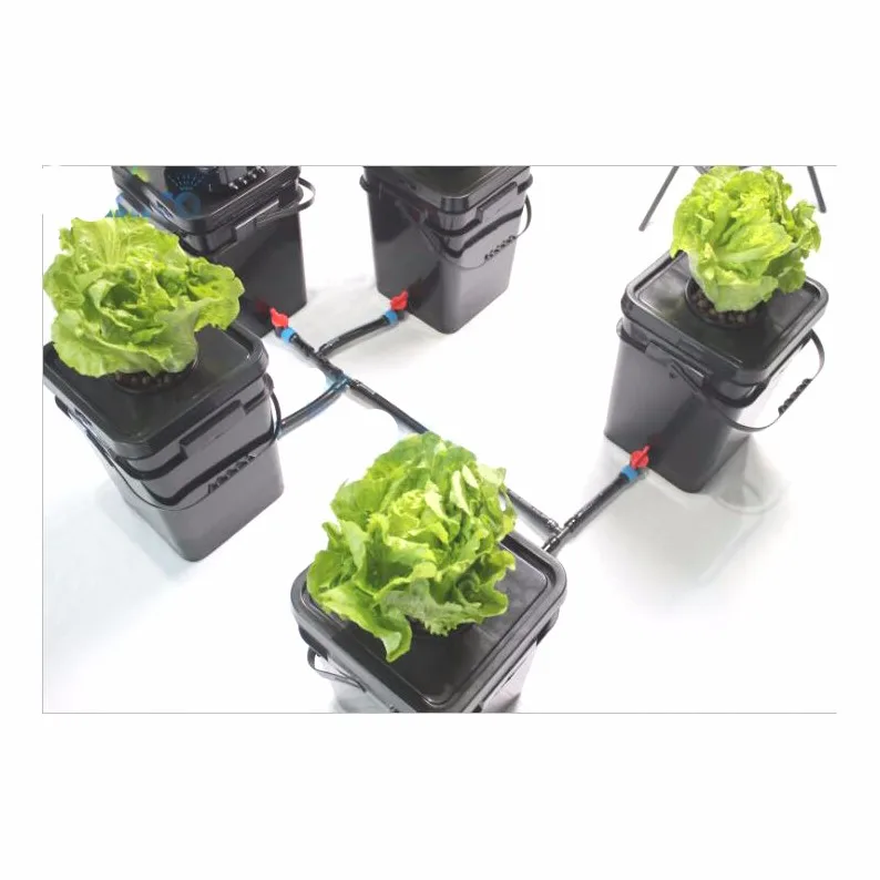 Square Bucket Automatic Hydroponic System Amazon Supplier Complete