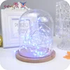 50LED Starry Wire Fairy Light Xmas Party USB White Remote Control