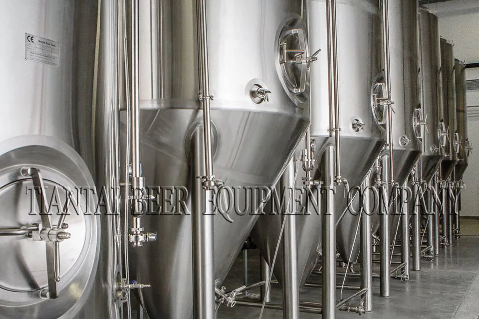 6000L beer fermenter