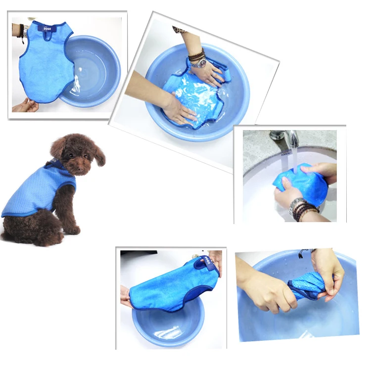 dog cooling products