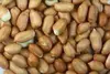 Round Peanut Kernel