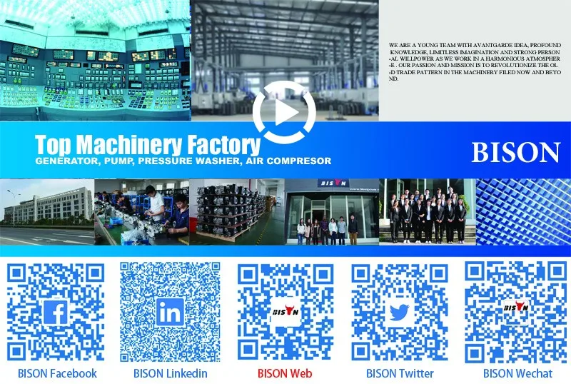 A bison banner and link