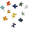 Double daisy Glass Screen ( Daisy)