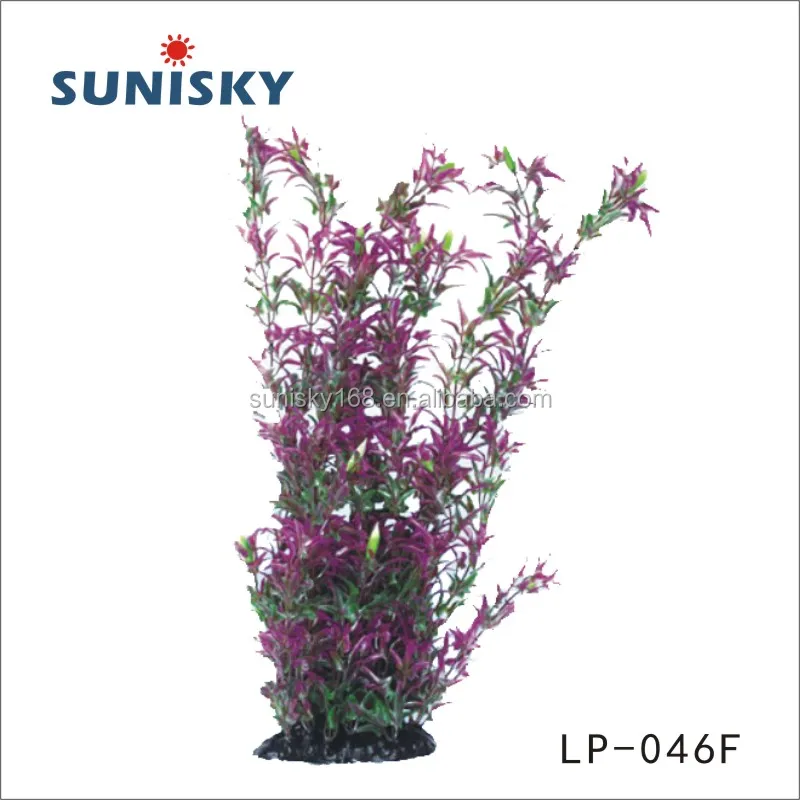 LP-046F.jpg
