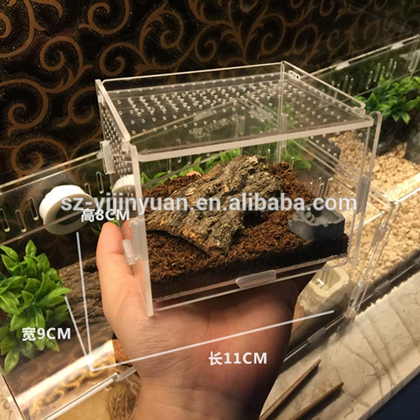 Plastic Acrylic Reptile Cage For Spider Lizard Gecko Acrylic Small Animal Cage Animal Snake