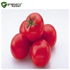 Buy perfect quality Lycopene 502-65-8