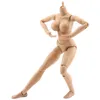 1/6 Scale Action Ample Female Nude Body Figure/Soldier Model Toys Doll Skin Color C/OEM plastic model figures