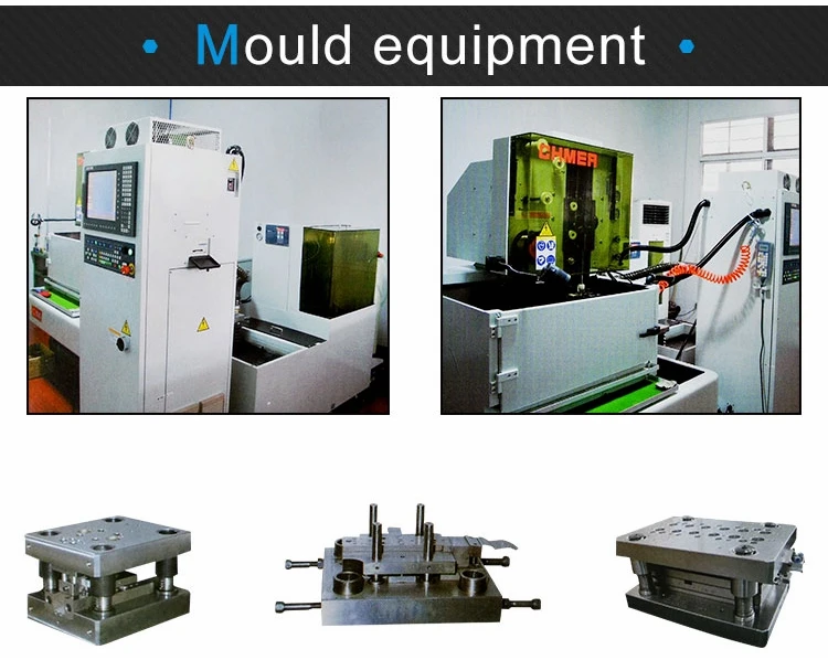 mould