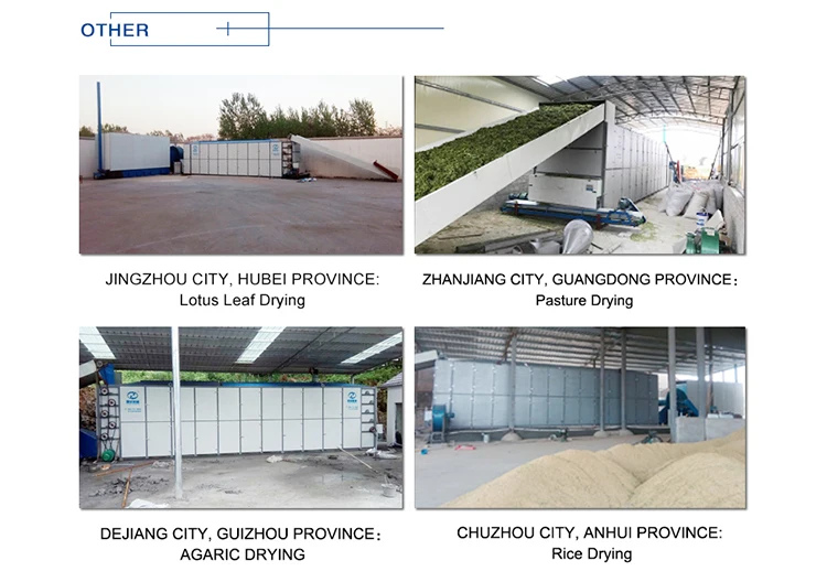 guoxin safe and reliable operation good quality dried salted fish drying machine