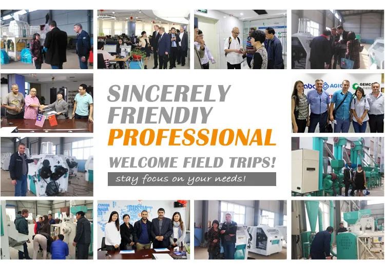 300 ton per day commercial wheat grain mill complete machine to make flour turnkey wheat flour milling plant project