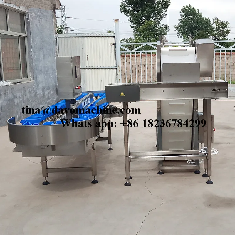 sorting machine 13.jpg