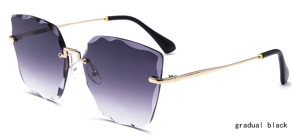 big frame sunglasses.jpg
