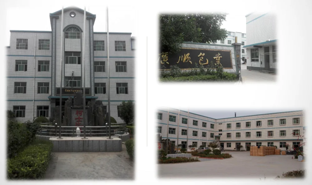 Hot Selling Nylon Dslr Camera Bag, Travel Hiking Photo Backpack