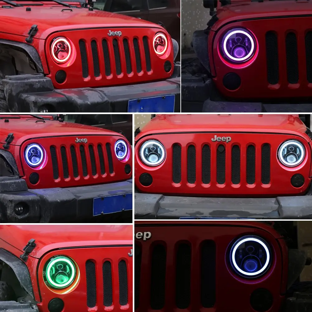 .jpg