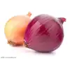 Easy operation and Compact structure cucumber slice machine onion cutting machine for vegetable cutting