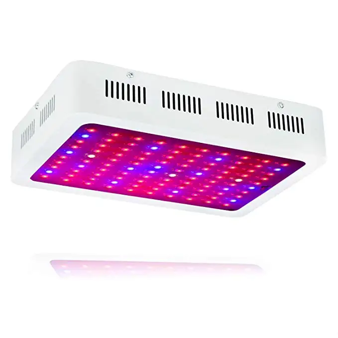 Indoor plants garden fruits and vegetables viparspectra 600w 1000w 1200w led grow light