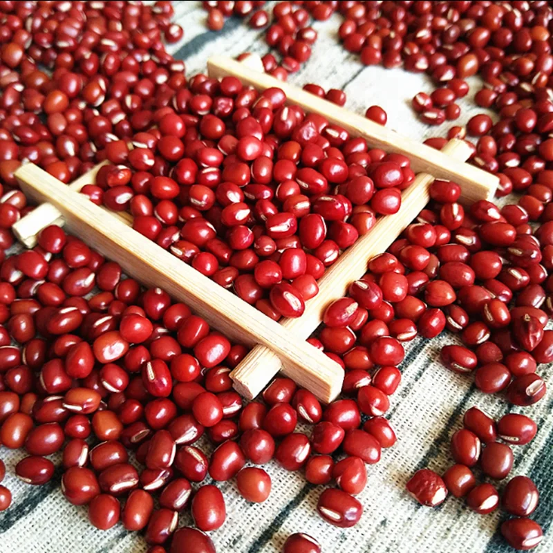 New Crop Common Red  Pearl Red Small Red Beans Adzuki Beans