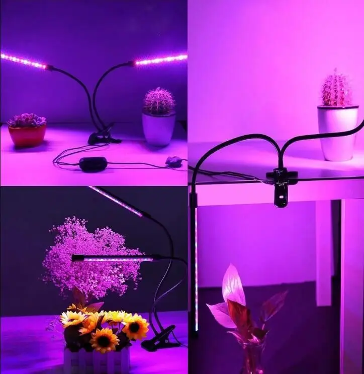 QQ20180622102551.jpg