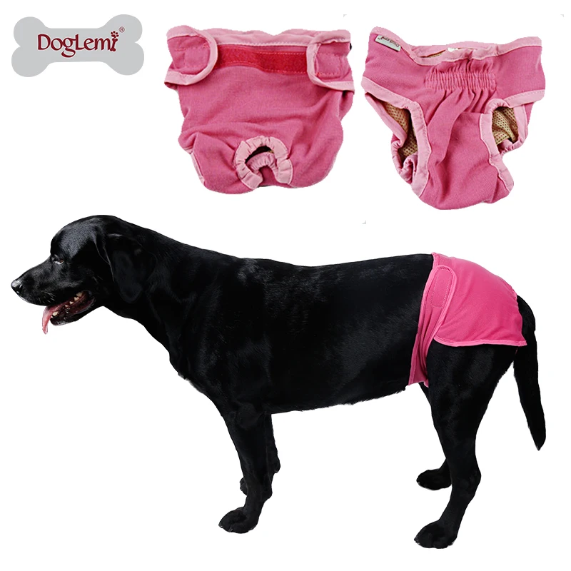 Washable Reusable Pet Pants Female Dog Training Pants Buy Dog Training Pants,Dog Pants,Pet