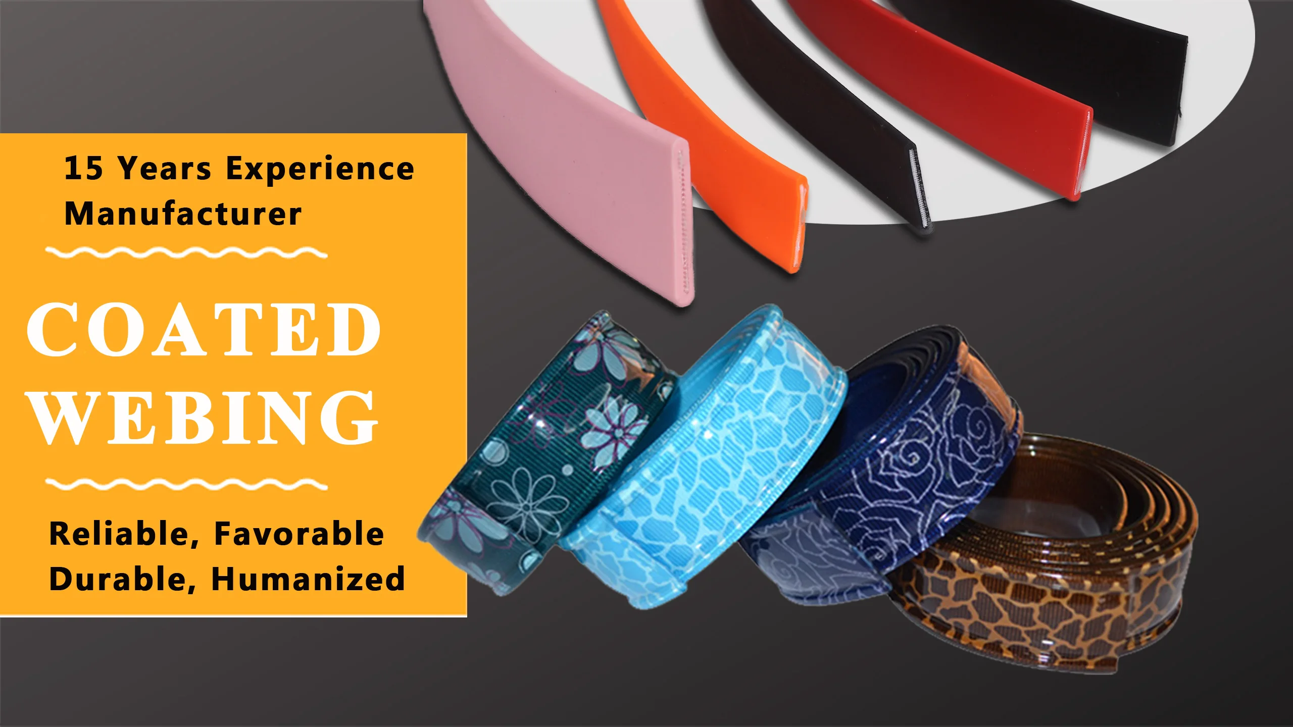 tpu pvc coated webbing.jpg