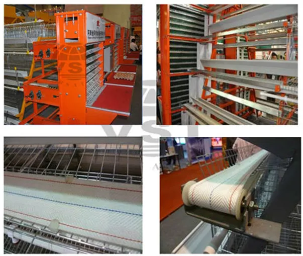 Automatic Control Equipment Steel Structure Building Poultry Farm Manufacturer