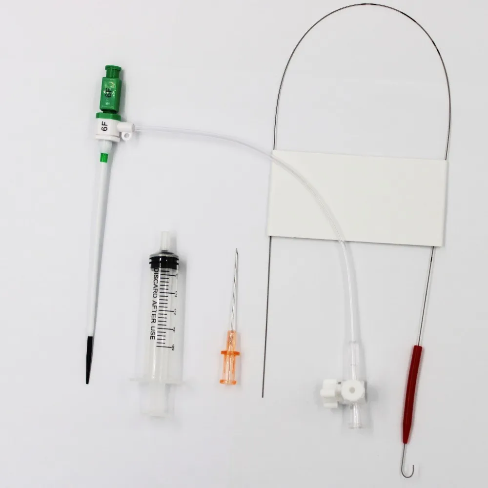 6f Femoral/radial Introducer Kit With Introducer Sheath,Dilator,Guide