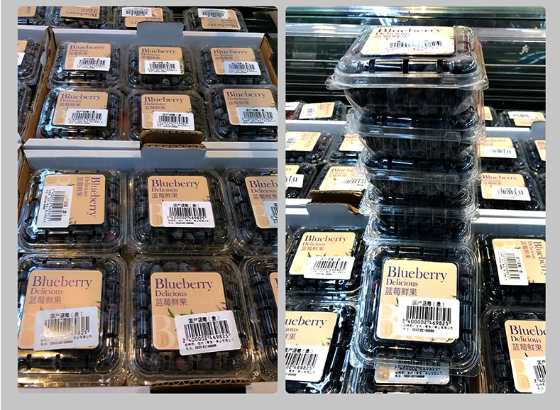 Blueberry box (5).png