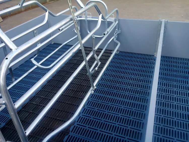 Pig Floor For Sale Pig Equipment For Poultry Farm Of Nurserying Pigs