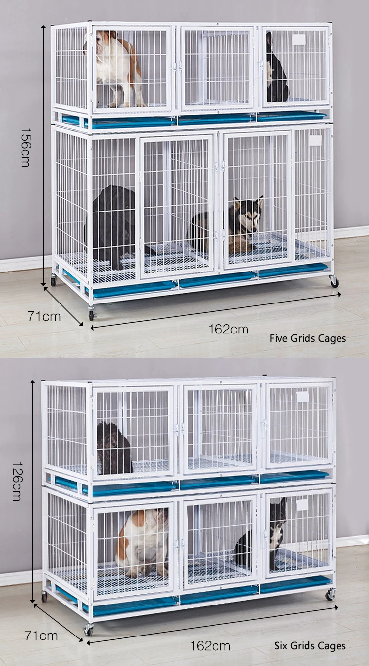 wholesale pet store