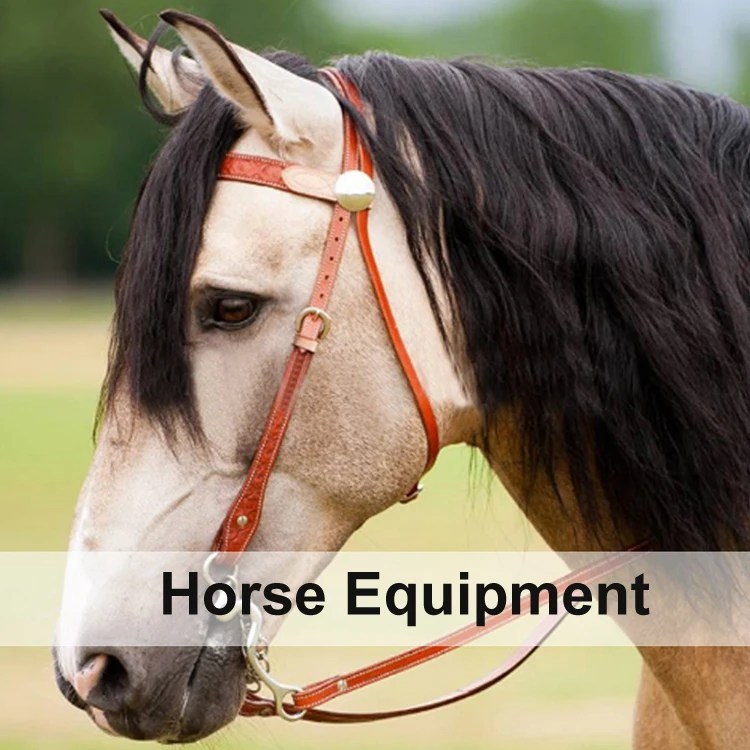 horse equipment.jpg