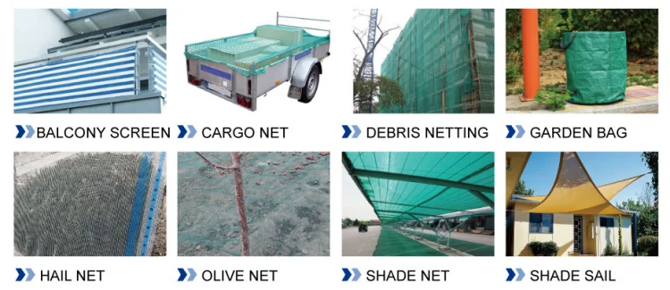 paste-pic-dp_uuid_mj96y