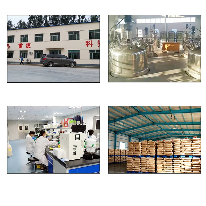 Corn Gluten Meal Min60 Protein Animal Feed Poultry And Livestocks Bulk