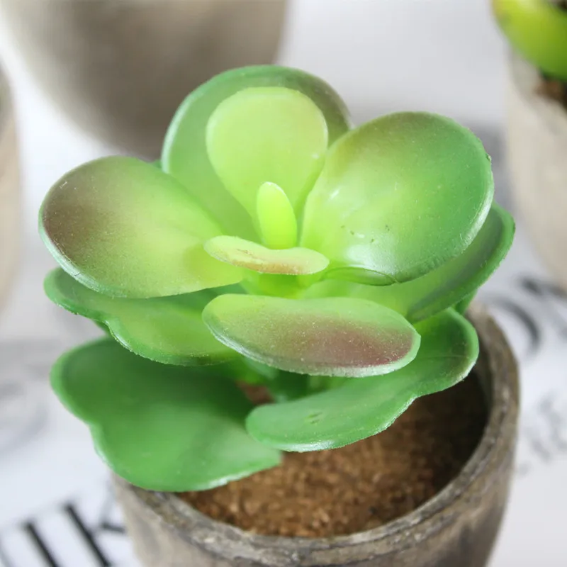 artificial succulent (6).jpg