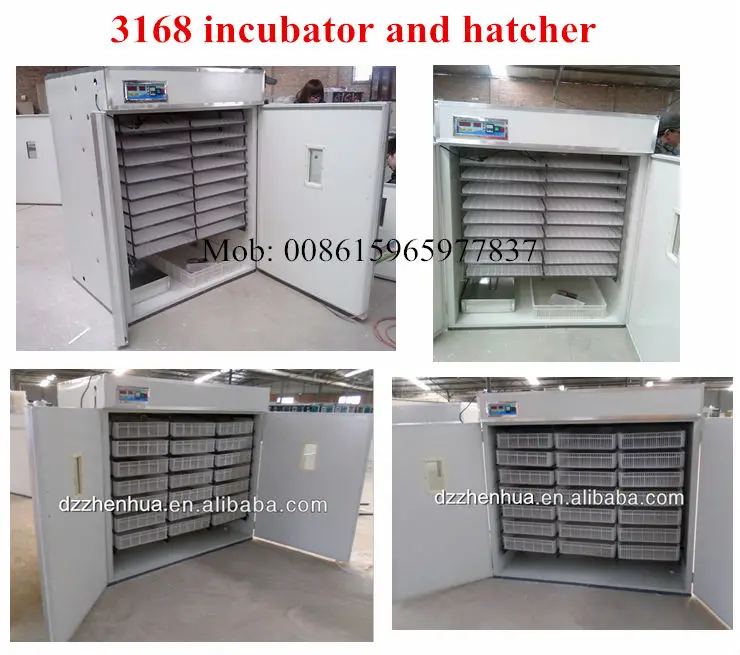 Capacity 3000 Egg Incubator Chicken Egg Incubator Hatching Machine