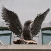 New products large garden statue eagle for sale