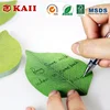 KAII Creative Green Tree Leaf Paper Sticky Memo Notes, Scratch Pads, Sticky Note