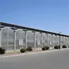 Plastic Polycarbonate Sheet Venlo Roof Multi Span Greenhouse