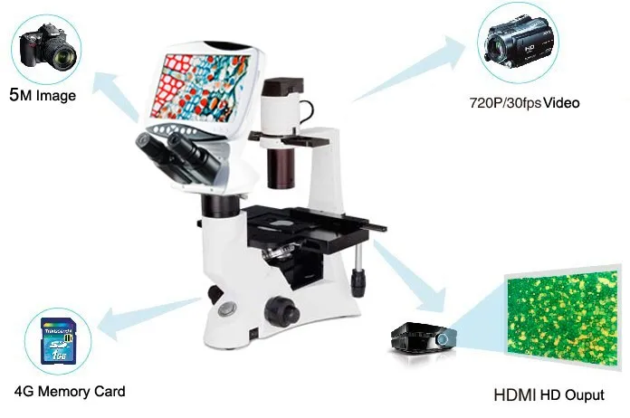 Dms камера. Состав цифрового микроскопа. Штука для наблюдения клетки.