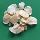 Special Aroma Wholesale Price Dry Garlic Sliced