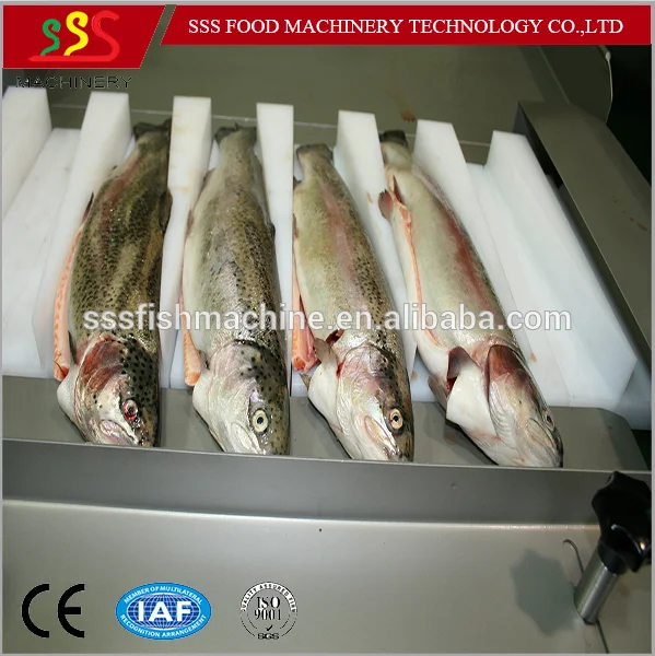 fish head remover machine3.png