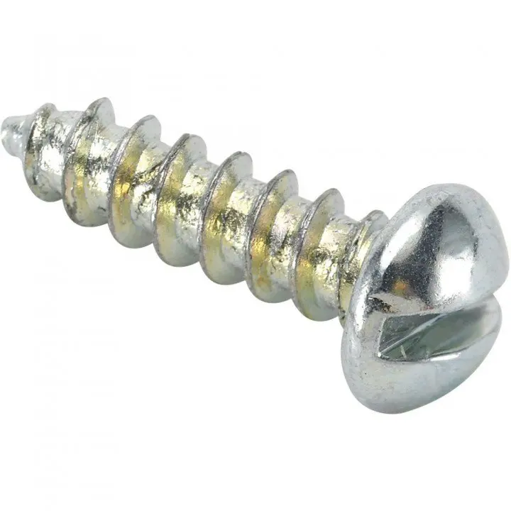 slotted head bolt