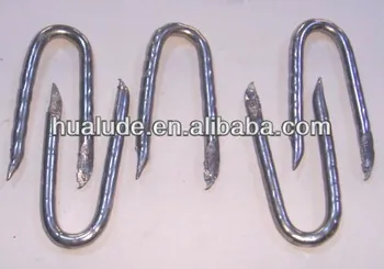 Galvanized U Shape Nails Stainless Steel From China Galvanized U Shape Nails Stainless Steel From China